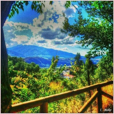 La Carrihuela Country house Algodonales