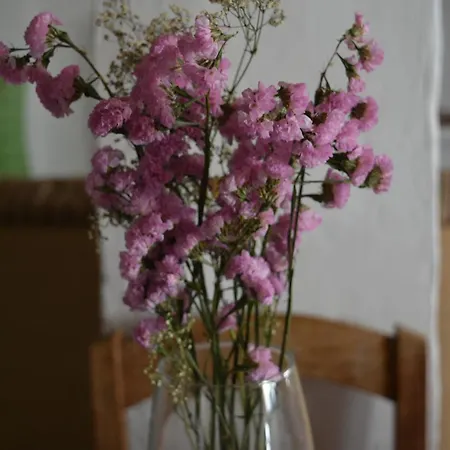 La Carrihuela Country house *