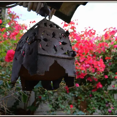 La Carrihuela Country house