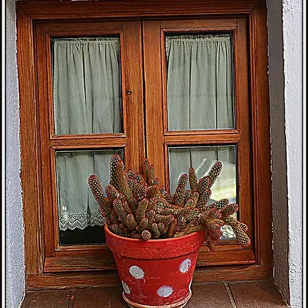 Country house La Carrihuela Algodonales